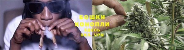 Альфа ПВП Пересвет