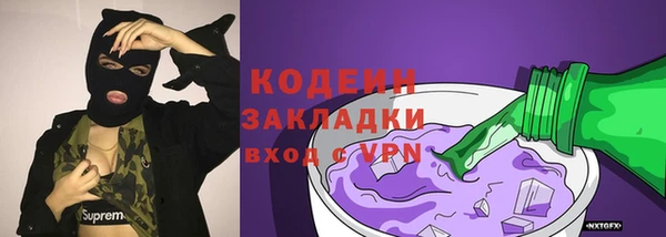 гашик Алзамай