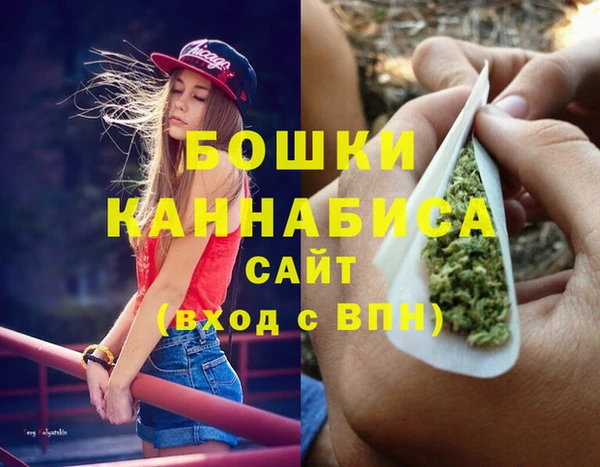 гашик Алзамай