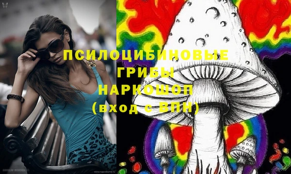 гашик Алзамай