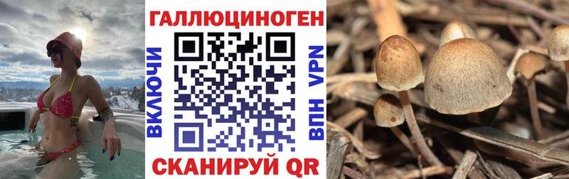 Галлюциногенные грибы прущие грибы  MEGA онион  Суджа 