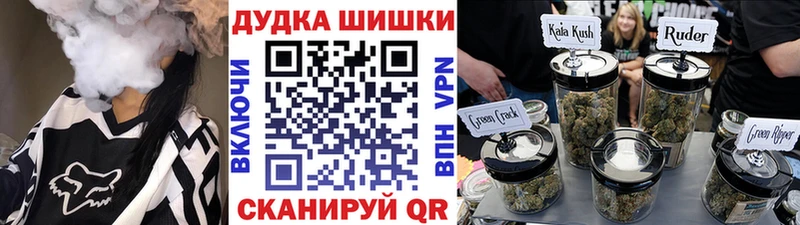 Канабис конопля  Суджа 